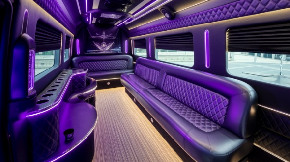 pasco sprinter limo rental inside