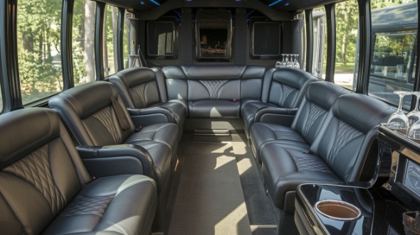 pasco sprinter limo rental interior